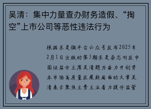 吴清:集中力量查办财务造假、“掏空”上市公司等恶性违法行为
