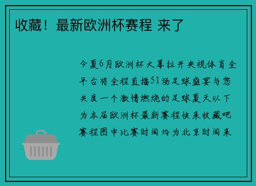 收藏！最新欧洲杯赛程 来了
