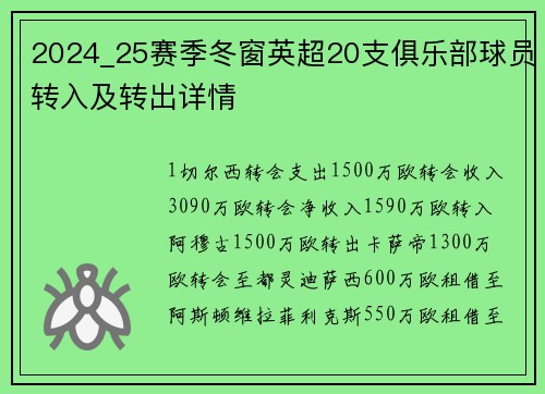 2024_25赛季冬窗英超20支俱乐部球员转入及转出详情