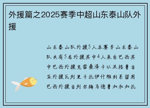 外援篇之2025赛季中超山东泰山队外援